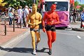 CSD Demo   090